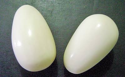 කටුගස්තොටන් ගජමුතු 02ක්